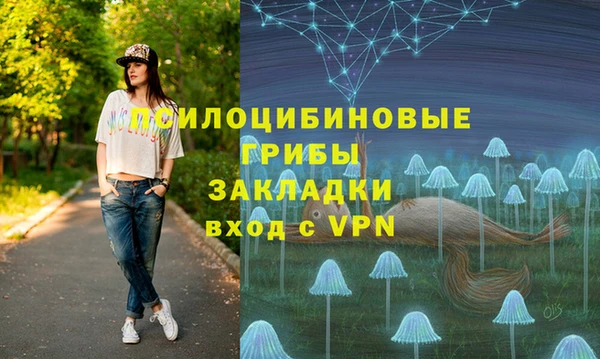 соль курить ск Богородск