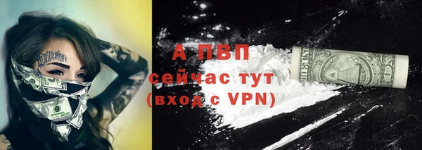 гидра Богданович