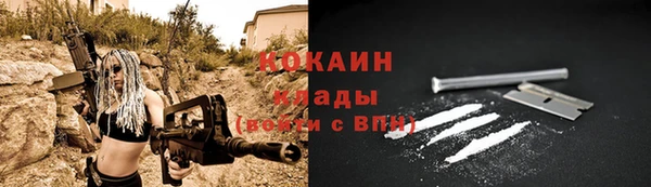 гидра Богданович