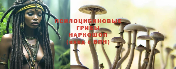сатива Богородицк