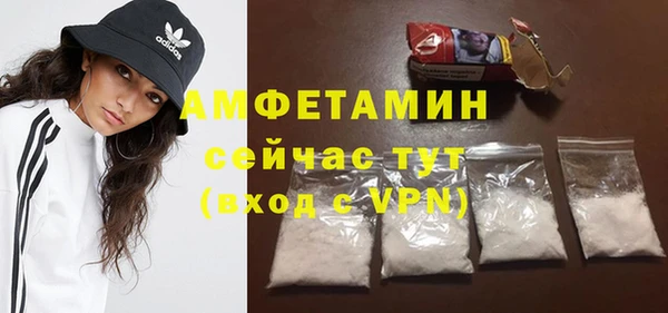 гидра Богданович