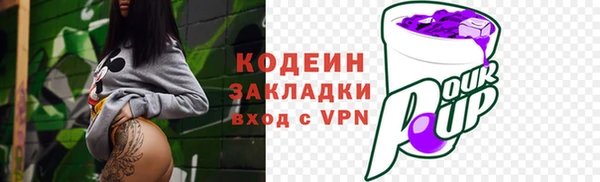 гидра Богданович