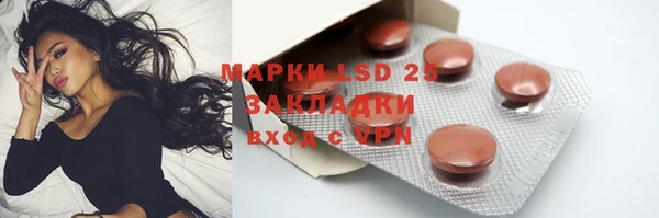 гидра Богданович