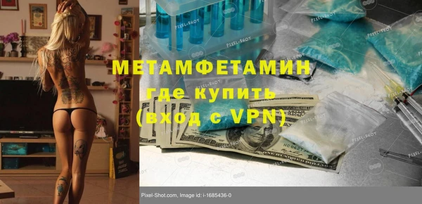 гидра Богданович