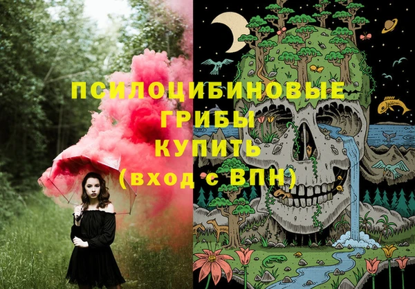 сатива Богородицк