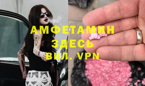 гидра Богданович