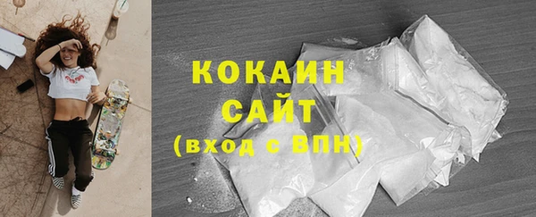сатива Богородицк