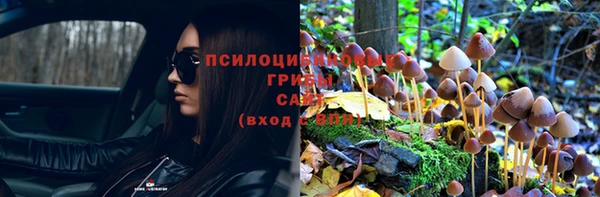гидра Богданович