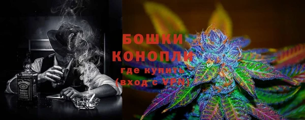 гидра Богданович