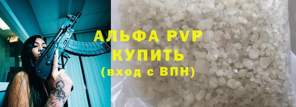 гидра Богданович