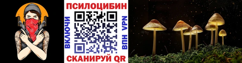 что такое   Наро-Фоминск  Галлюциногенные грибы прущие грибы 