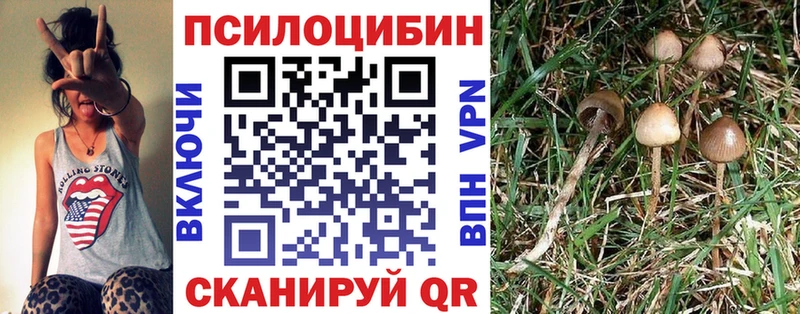 Псилоцибиновые грибы Magic Shrooms Наро-Фоминск